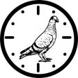 Pigeon Velocity Calculator Pigeon Velocity Calculator