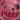 Alpha Piggy Scary Roblx's