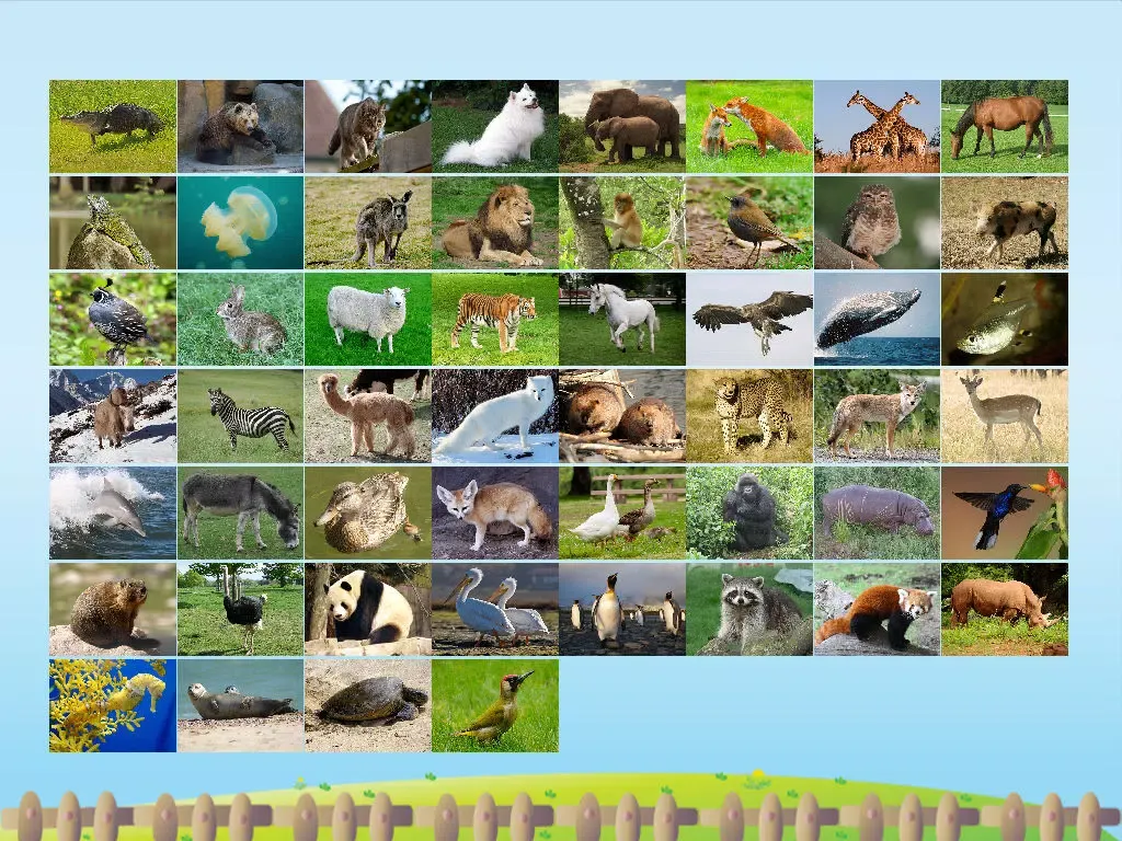ABC Alphabet Animal Flashcards Write iPad 應用截圖