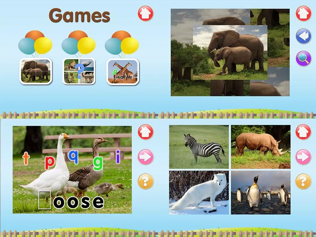 ABC Alphabet Animal Flashcards Write iPad 應用截圖