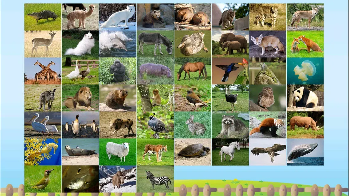 ABC Alphabet Animal Flashcards Write應用截圖