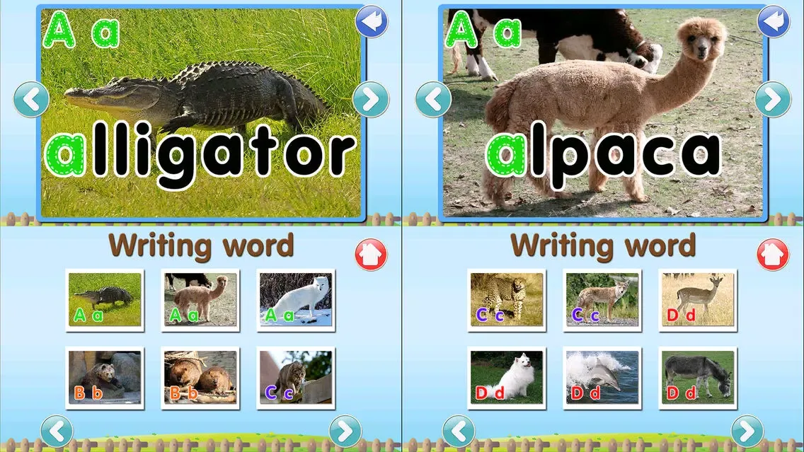 ABC Alphabet Animal Flashcards Write應用截圖