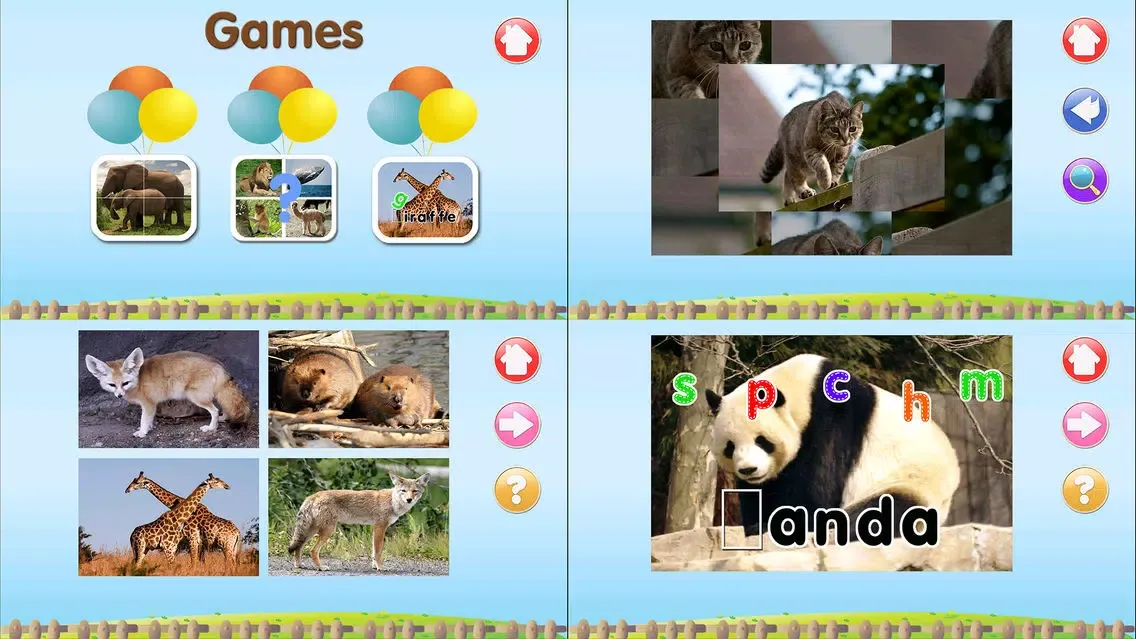 ABC Alphabet Animal Flashcards Write應用截圖