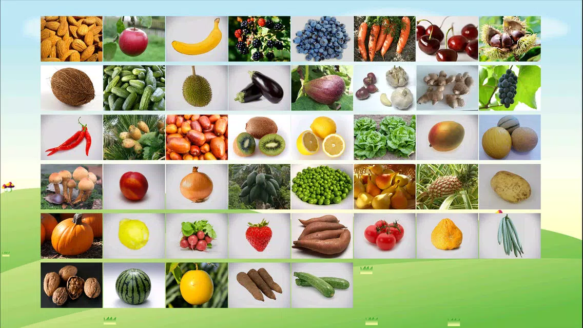 ABC Alphabet Fruit Veg Flashcards Write 스크린샷