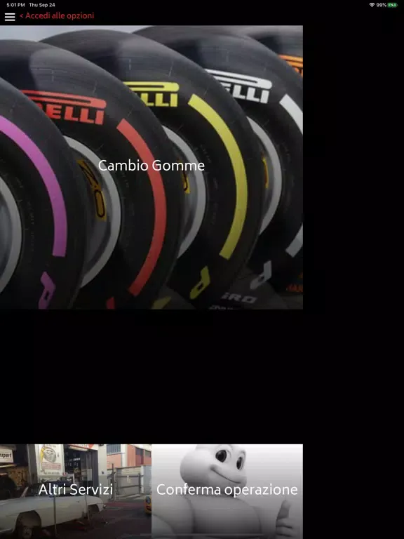 Pigna Tyres iPad  스크린샷