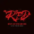 "R"ED Official Light Stick
