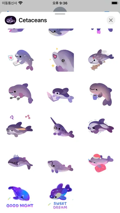 Cetaceans day应用截图