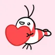 Shy Shrimp 2
