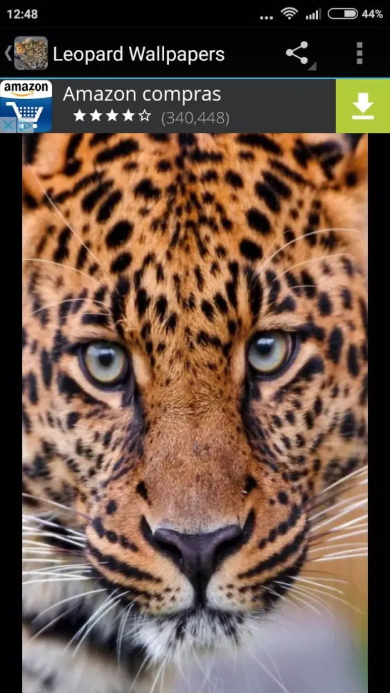 Leopard Wallpapers Screenshots