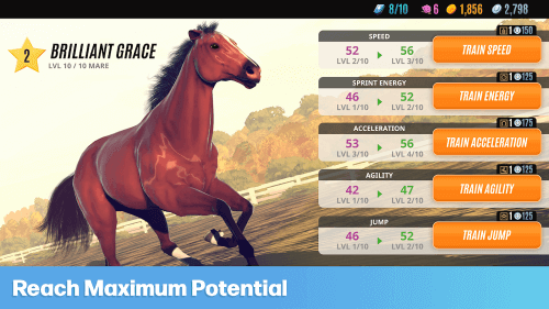 Rival Stars Horse Racing-screenshot-4