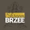 Shreem Brzee