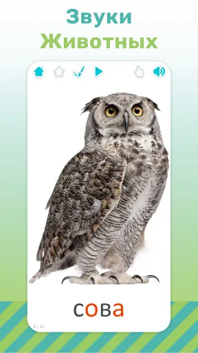Flashcards for Kids in Russian应用截图