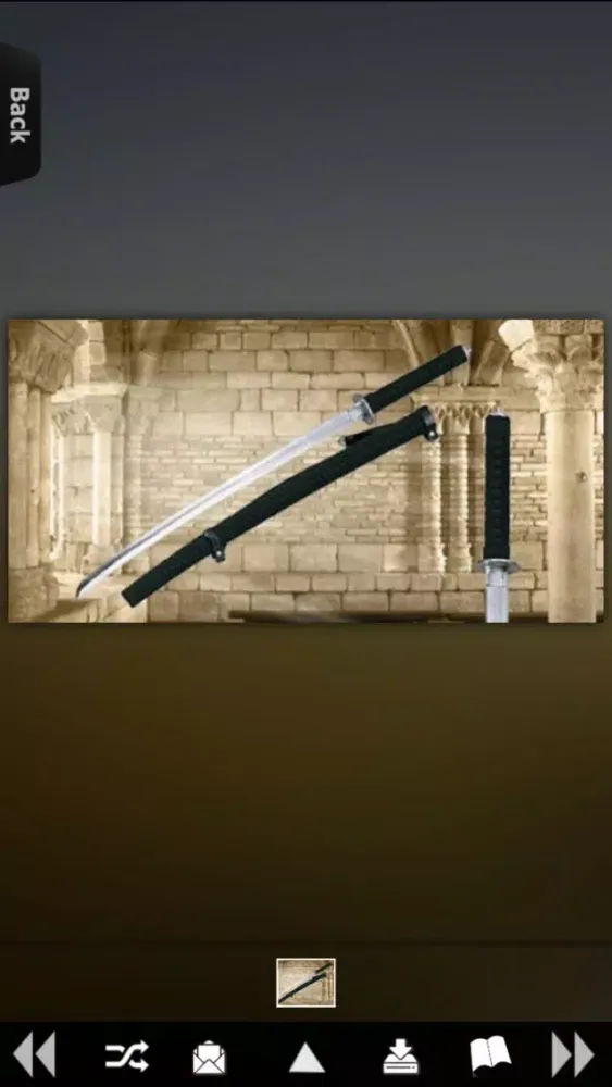 Swords Master应用截图