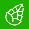 Pinecone for Mobile