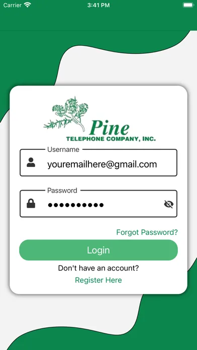 Capturas de pantalla de Pine eBill