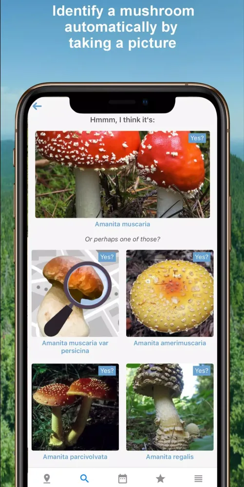 Ảnh chụp màn hình của Mushroom Identify - Automatic