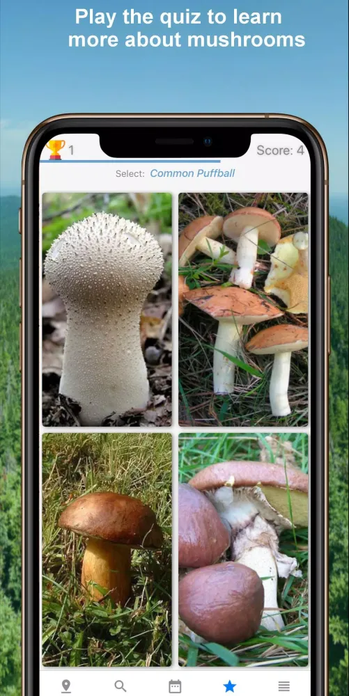 Ảnh chụp màn hình của Mushroom Identify - Automatic