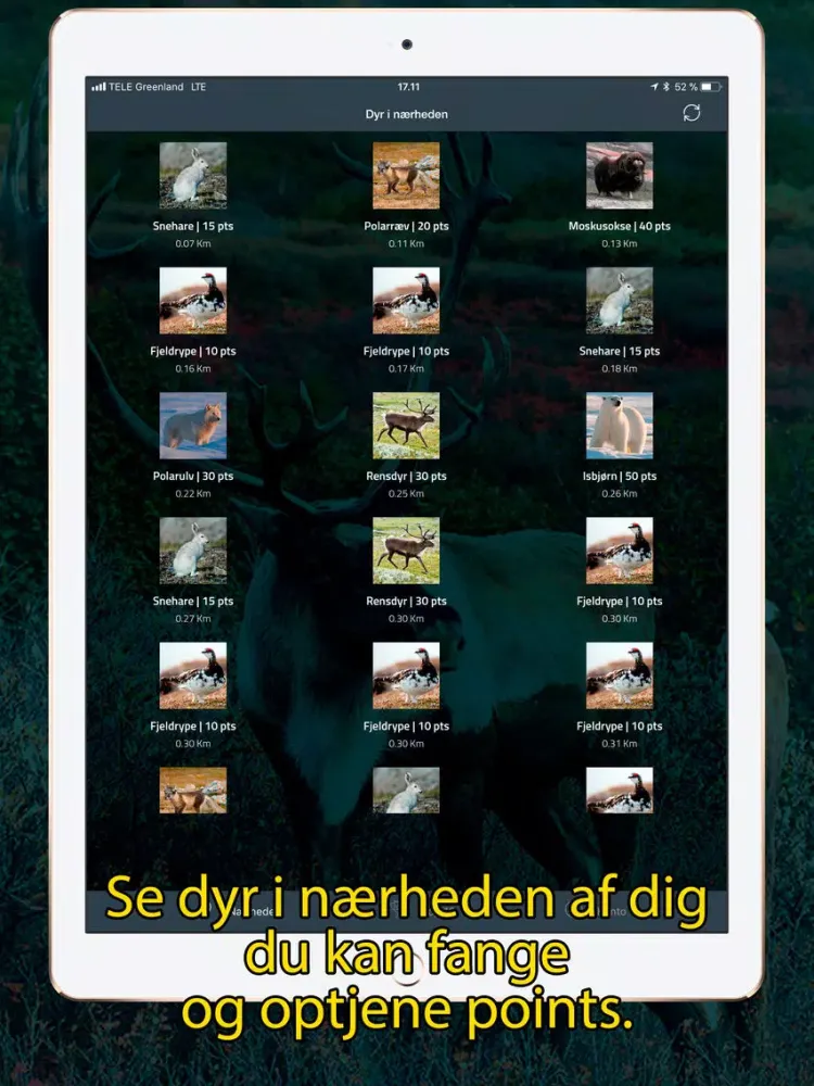 Piniartoq iPad  سکرین شاٹس
