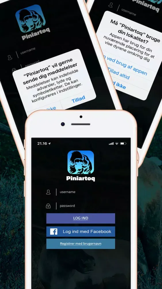 Piniartoq سکرین شاٹس