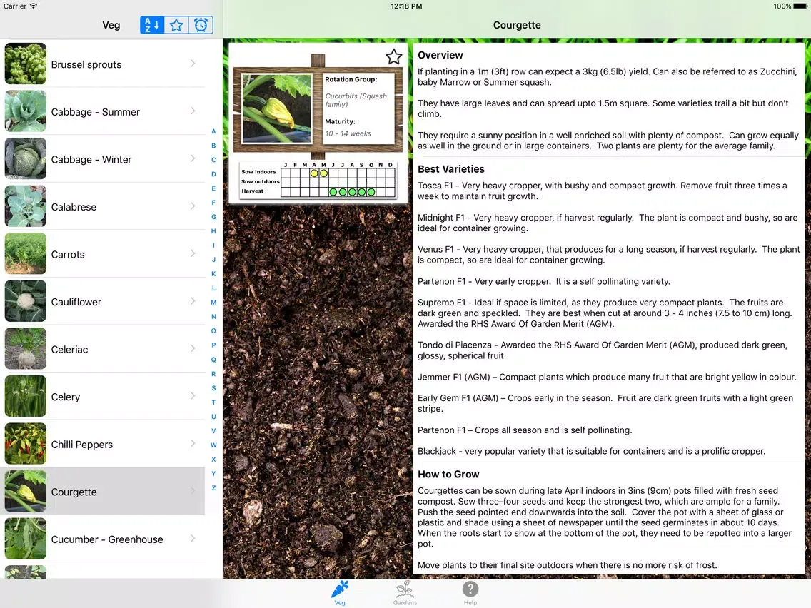 Скриншоты Growing iPad 
