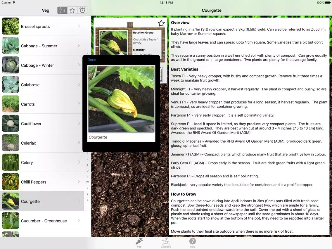 Скриншоты Growing iPad 