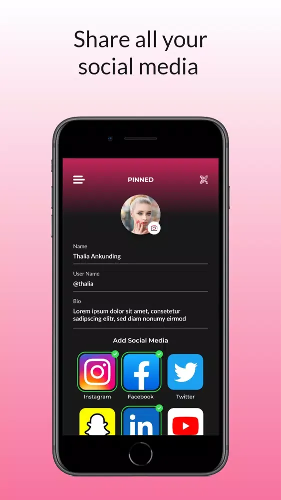 ภาพหน้าจอของ Pinned.eu