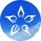 The Cycle - The Five Elements