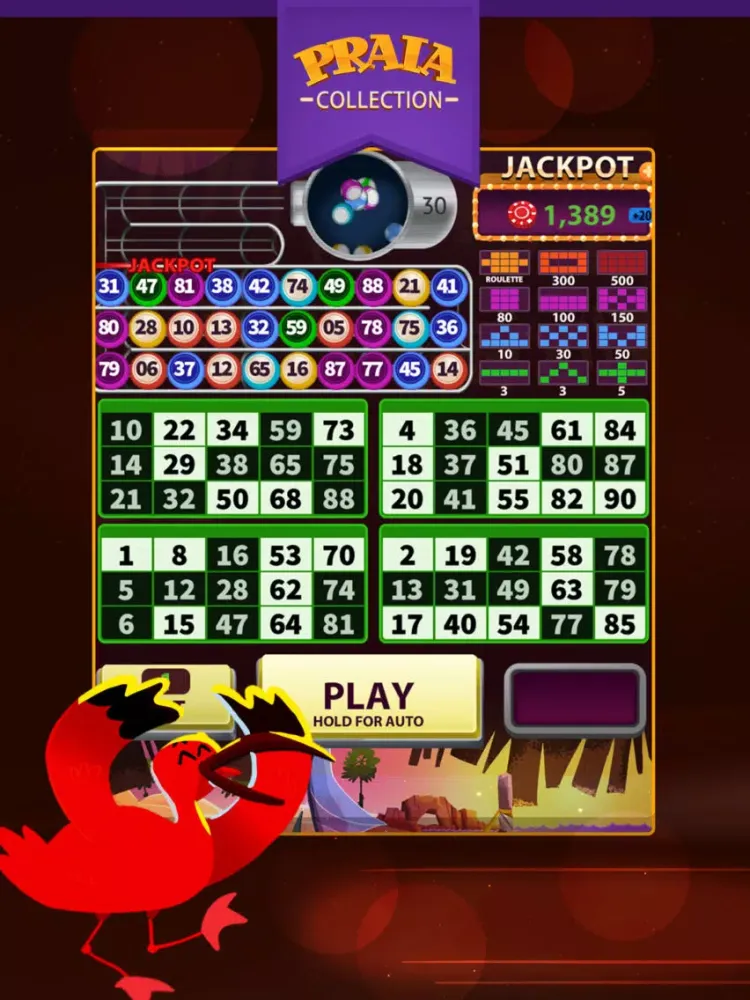 Video Bingo Jeri iPad  스크린샷