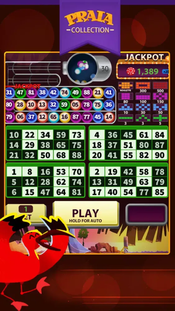 Video Bingo Jeri 스크린샷
