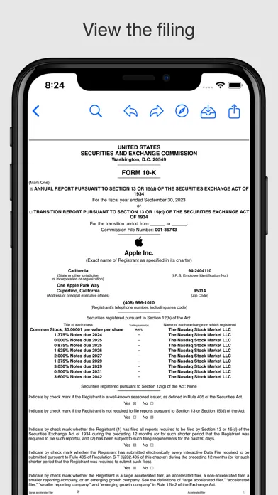 Public Company Filings Ekran Görüntüleri