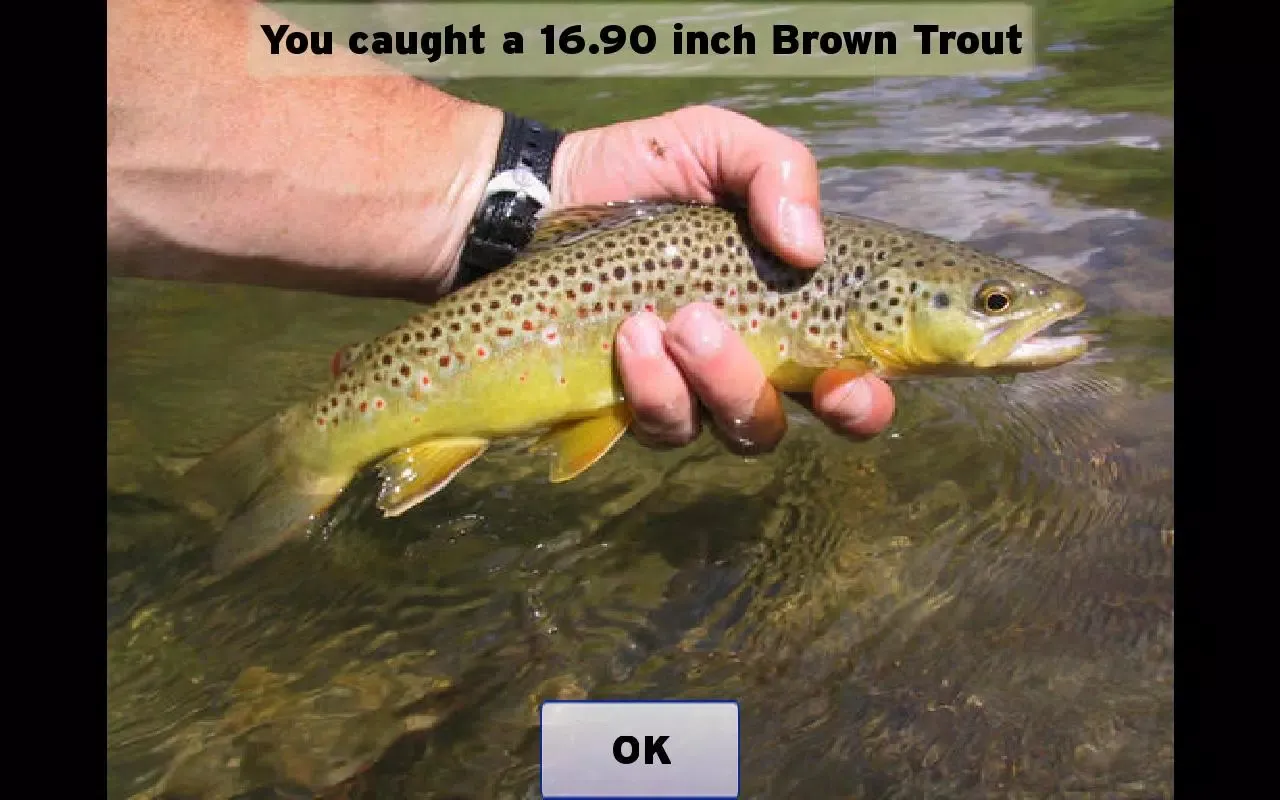 Fly Fishing Simulator Screenshots
