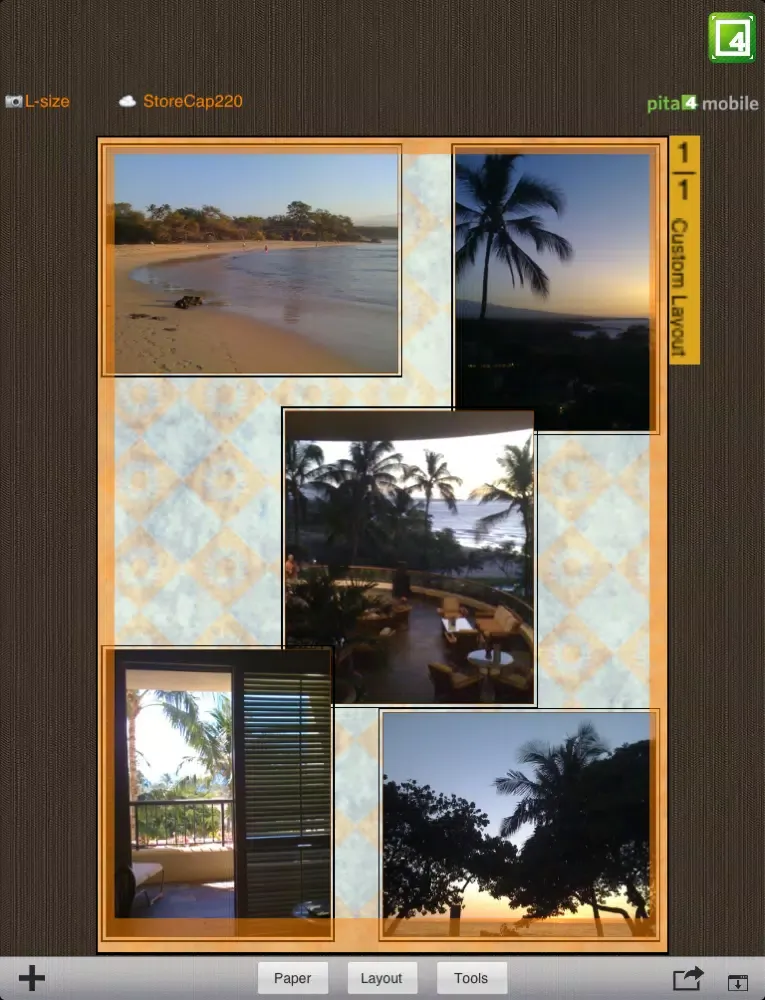 تصاویر pita4print - AirPrint Large Photos with Ink-Saver iPad 