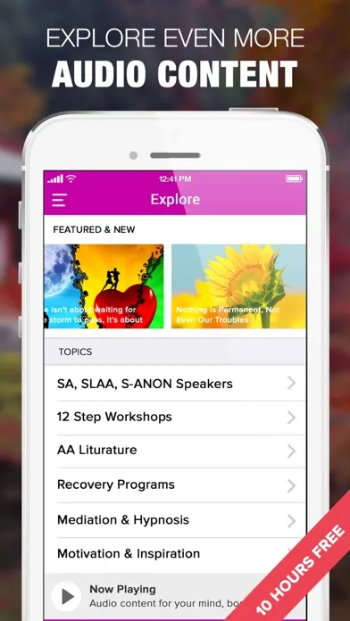 SA,SLAA Sex, Porn Addiction Anonymous Speakers Screenshots