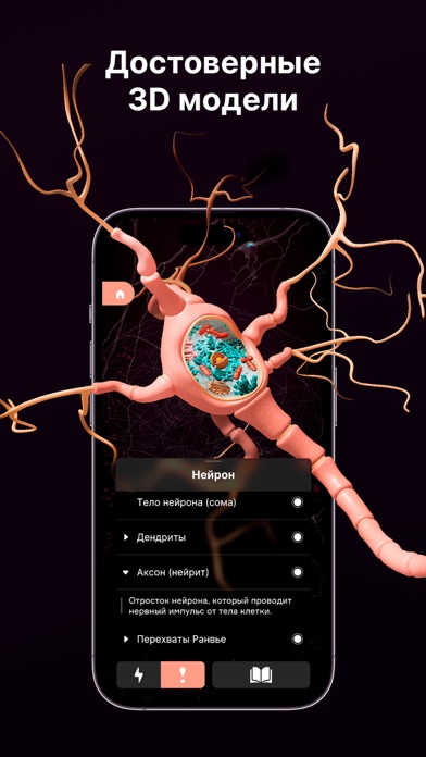 تصاویر SYSTEMA: Anatomy atlas