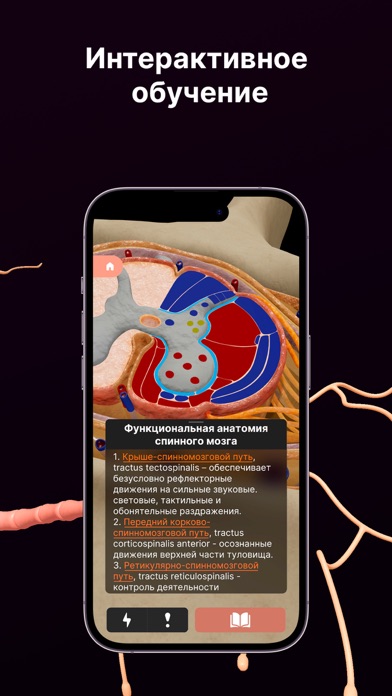 تصاویر SYSTEMA: Anatomy atlas