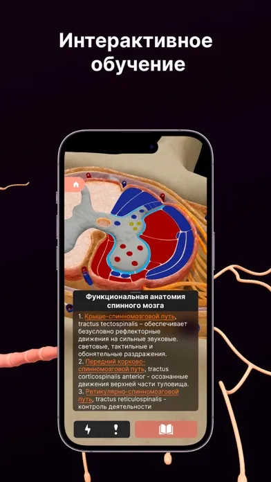 Zrzuty ekranu SYSTEMA: Anatomy atlas