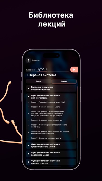 تصاویر SYSTEMA: Anatomy atlas