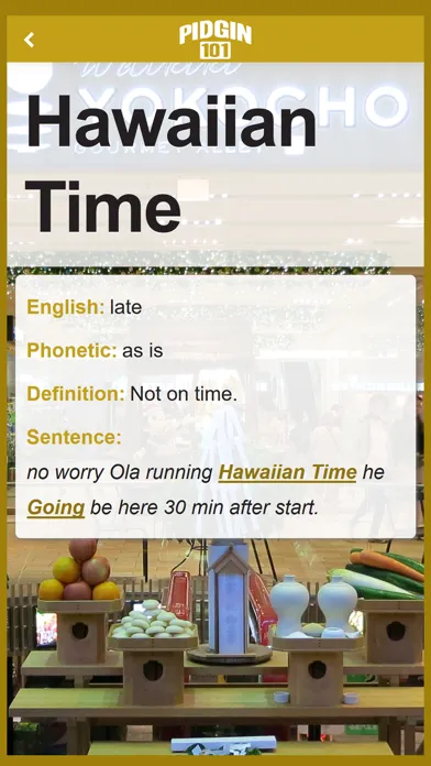 Pidgin 101 App स्क्रीनशॉट