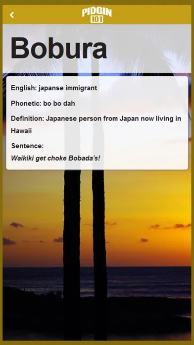 Pidgin 101 App स्क्रीनशॉट