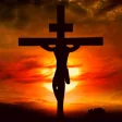 Stations and Way of the Cross Stations and Way of the Cross