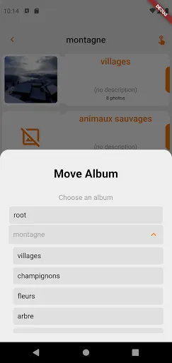 Piwigo NG应用截图