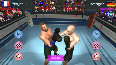 Summer Games Boxing স্ক্রিনশট