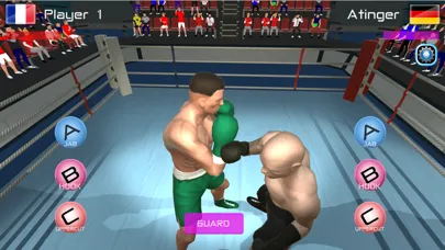 Summer Games Boxing স্ক্রিনশট