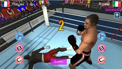 Summer Games Boxing স্ক্রিনশট