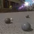 Real Bocce Pro