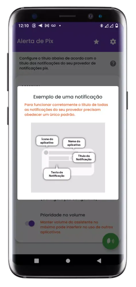 Notificações Faladas - Pix Screenshots