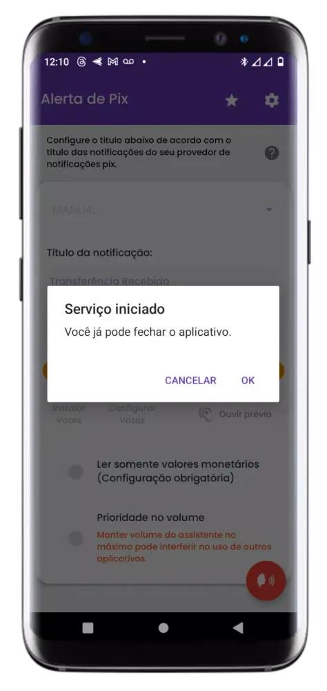 Notificações Faladas - Pix Screenshots