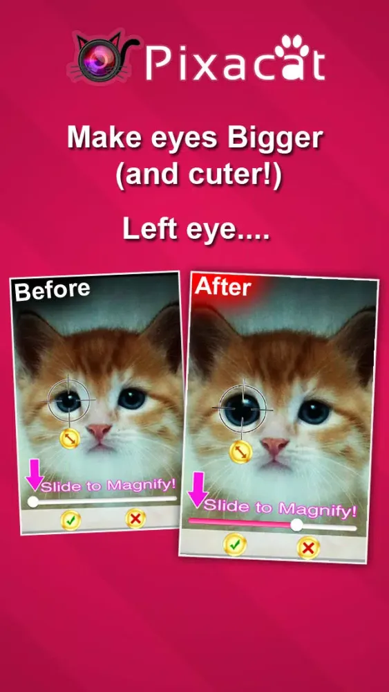 Pixacat: Free Photo Editor for Cat Lovers – Edit cat pictures, share them on Facebook and Instagram Screenshots