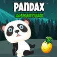 Pandax Adventure