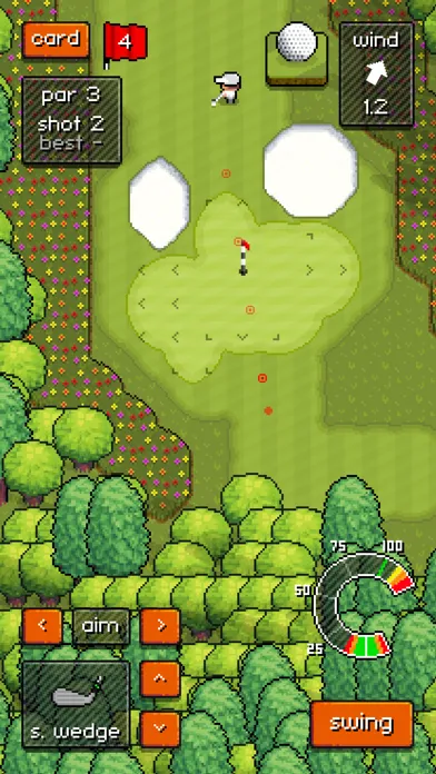 Zrzuty ekranu Pixel Pro Golf